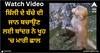 Viral Video: ਬਿੱਲੀ ਦੇ ਬੱਚੇ ਦੀ ਜਾਨ ਬਚਾਉਣ ਲਈ ਬਾਂਦਰ ਨੇ ਖੂਹ 'ਚ ਮਾਰੀ ਛਾਲ, ਲੋਕਾਂ ਨੇ ਕਿਹਾ- ਇਹੈ ਅਸਲੀ ਸੁਪਰਸਟਾਰ!