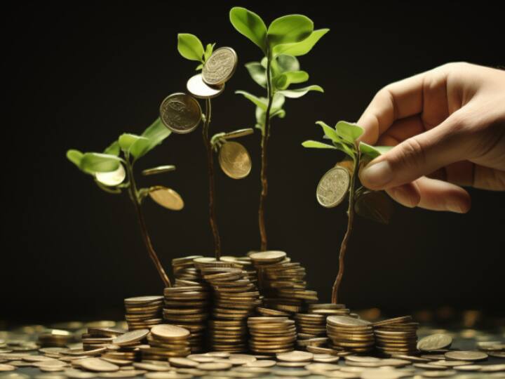 Money Plant Caring Tips know how it will remain green for years ऐसे करें मनी प्लांट की देखभाल, सालों साल रहेगा हरा भरा