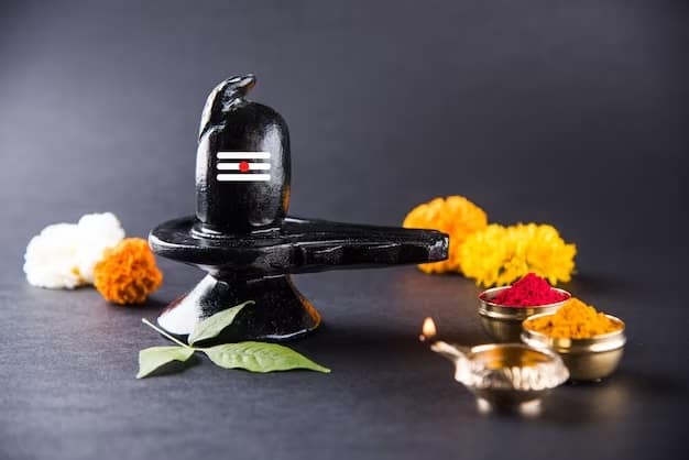 প্রদোষ ব্রতের সময় কালো কাপড় পরবেন না। বিশ্বাস অনুসারে, কালো পোশাক নেতিবাচকতার প্রতীক। এমন পরিস্থিতিতে এই দিনে সাদা বা সবুজ রঙের পোশাক পরলে ভালো হয়। ভগবান ভোলেনাথ সাদা এবং সবুজ উভয় রংই খুব পছন্দ করেন। এমন পরিস্থিতিতে, এই দিনে এটি পরা ভাল হবে।