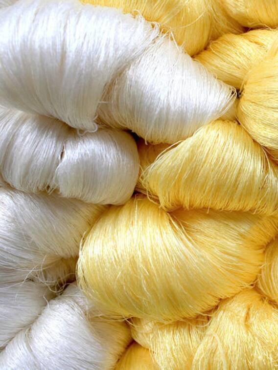 ऐसे बनाते हैं रेशम, जानिए क्या है पूरा प्रोसेस