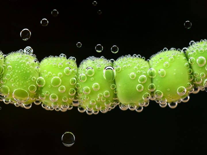 सर्दियों के मौसम में लोगों को हरी मटर खाना बेहद पसंद है. ये एक ऐसी फसल है जो कम देखभाल में भी अच्छे से उग जाती है. मटर को आप अपने घर में भी उगा सकते हैं. लेकिन इसे उगाने के लिए आपको को कुछ बातों को ध्यान रखना होगा.