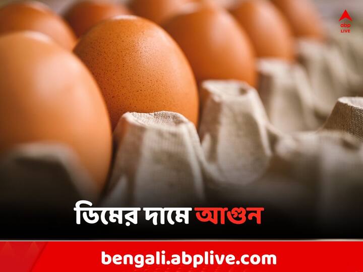Egg Price Hike in Kolkata West Bengal on Christmas Day Egg Price Hike: বছরশেষে ডিমের দামে আগুন, বড়দিনে কোথায় গিয়ে দাঁড়াল দর ?