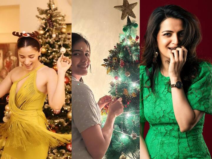 Celebs Christmas Photos : திரை பிரபலங்களின் கிறிஸ்துமஸ் கொண்டாட்ட புகைப்படங்களை இங்கே பார்க்கலாம்.