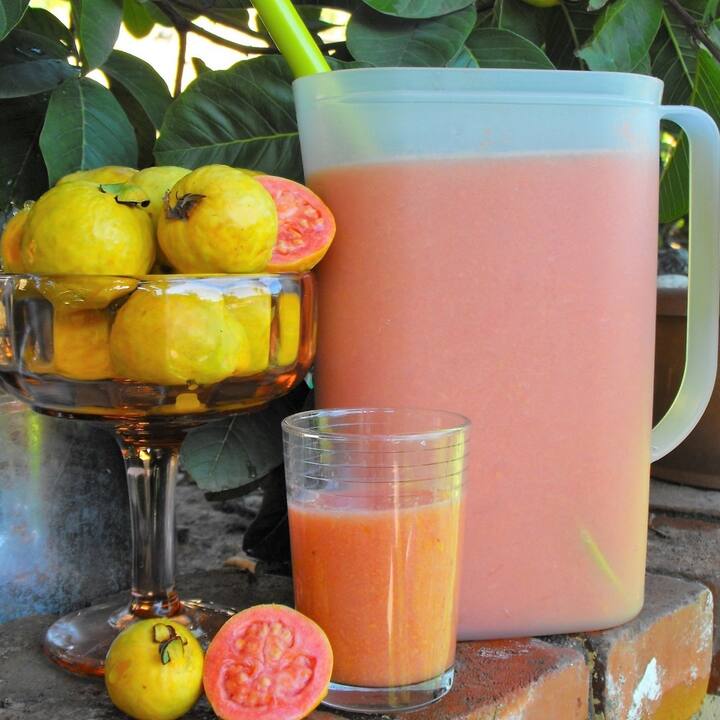 Guava Juice: ਅੱਖਾਂ ਦੀ ਇਨਫੈਕਸ਼ਨ ਦੂਰ ਕਰਦਾ ਹੈ ਅਮਰੂਦ ਦਾ ਜੂਸ, ਹੋਰ ਵੀ ਨੇ ਕਈ ਫਾਈਦੇ