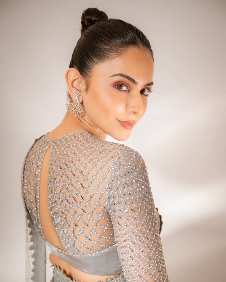 Rakul looks absolutely magical in the sheer saree. (All Image: Rakul Preet Singh/Instagram.)