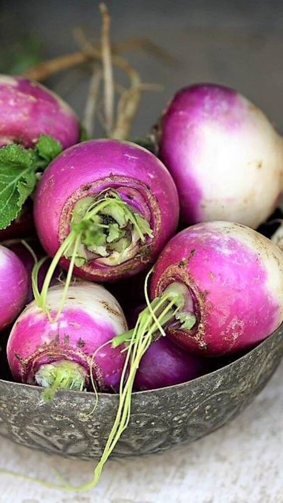 ਇਨ੍ਹਾਂ ਪੰਜ ਲੋਕਾਂ ਨੂੰ ਨਹੀਂ ਖਾਣਾ ਚਾਹੀਦਾ ਸ਼ਲਗਮ