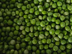 क्या घर में ही उगा सकते हैं आप मटर? जानिए कितने दिन में हो जाता है पौधा तैयार