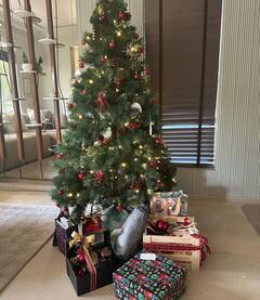 Christmas 2023: अनन्या पांडे ने नए घर में मनाया क्रिसमस का जश्न, व्हाइट शॉर्ट में शेयर की खूबसूरत तस्वीरें