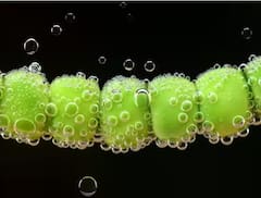 Peas cultivation: ਕੀ ਤੁਸੀਂ ਘਰ ਵਿੱਚ ਲਾ ਸਕਦੇ ਹੋ ਮਟਰ? ਜਾਣੋ ਕਿੰਨੇ ਦਿਨ ‘ਚ ਪੌਦਾ ਹੋ ਜਾਵੇਗਾ ਤਿਆਰ