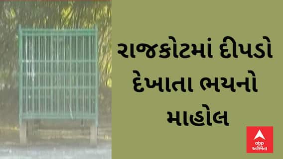 Rajkot Leopard | રાજકોટ શહેર અને ગ્રામ્ય વિસ્તારમાં દીપડો દેખાતા લોકોમાં ફફડાટ