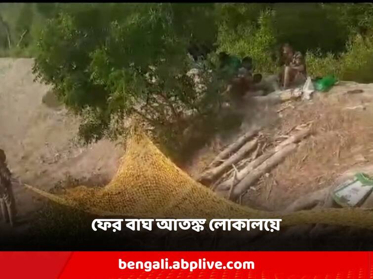 Sundarbon Footprints of the Royal Bengal Tiger in the locality, the roar is heard! Residents are trapped in fear Sundarbans: সুন্দরবনের লোকালয়ে রয়্যাল বেঙ্গল টাইগারের পায়ের ছাপ, শোনা যাচ্ছে গর্জনও! আতঙ্কে ঘরবন্দী বাসিন্দারা