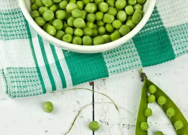 ਬੀਜ ਬੀਜਣ ਤੋਂ ਬਾਅਦ, ਉਨ੍ਹਾਂ ਨੂੰ ਚੰਗੀ ਤਰ੍ਹਾਂ ਪਾਣੀ ਦਿਓ। ਮਿੱਟੀ ਨੂੰ ਹਮੇਸ਼ਾ ਨਮੀ ਰੱਖਣ ਦਾ ਧਿਆਨ ਰੱਖੋ, ਪਰ ਇਸ ਨੂੰ ਪਾਣੀ ਵਿੱਚ ਡੁੱਬਣ ਨਾ ਦਿਓ। ਮਟਰ ਦੇ ਪੌਦਿਆਂ ਨੂੰ ਵੀ ਸੂਰਜ ਦੀ ਰੌਸ਼ਨੀ ਦੀ ਲੋੜ ਹੁੰਦੀ ਹੈ। ਇਸ ਨੂੰ ਰੋਜ਼ਾਨਾ ਘੱਟੋ-ਘੱਟ 6 ਘੰਟੇ ਸੂਰਜ ਦੀ ਰੌਸ਼ਨੀ ਦਿਓ।