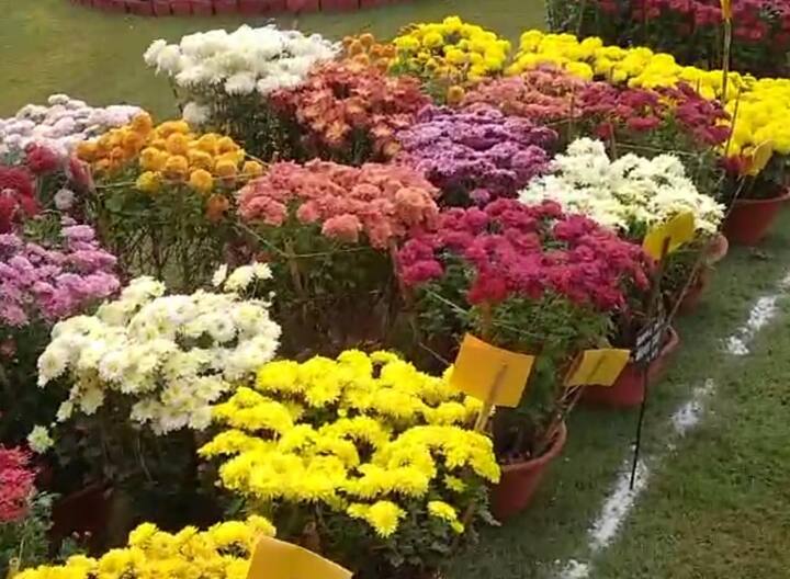 25 दिसंबर से 27 दिसंबर चलने वाले पुष्प प्रदर्शनी में कल भी आम लोग देखने पहुंचेंगे. अंतिम दिन 27 दिसंबर को कुलपति के साथ-साथ प्रोफेसर भी समापन कार्यक्रम में शामिल होंगे.