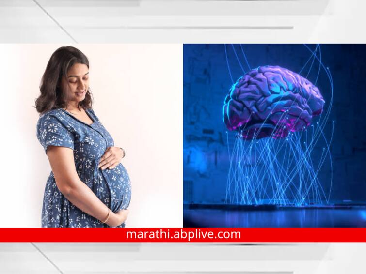brain cell discovery sparks hope for fertility treatments  Infertility issue pregnancy problems marathi news Fertility : मोठी बातमी! वंध्यत्वावर लवकरच प्रभावी उपचार सापडणार, मेंदूतील एका विशेष पेशीच्या शोधामुळे आशा बळावली