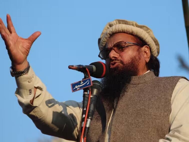 Hafiz Saeed News: Indian government demands from Pakistan- hand over Pulwama mastermind terrorist Hafiz Saeed to us soon પુલવામાના માસ્ટરમાઇન્ડ આતંકવાદી હાફિઝ સઈદને જલ્દી અમને સોંપો - ભારત સરકારની પાકિસ્તાન પાસે માંગ