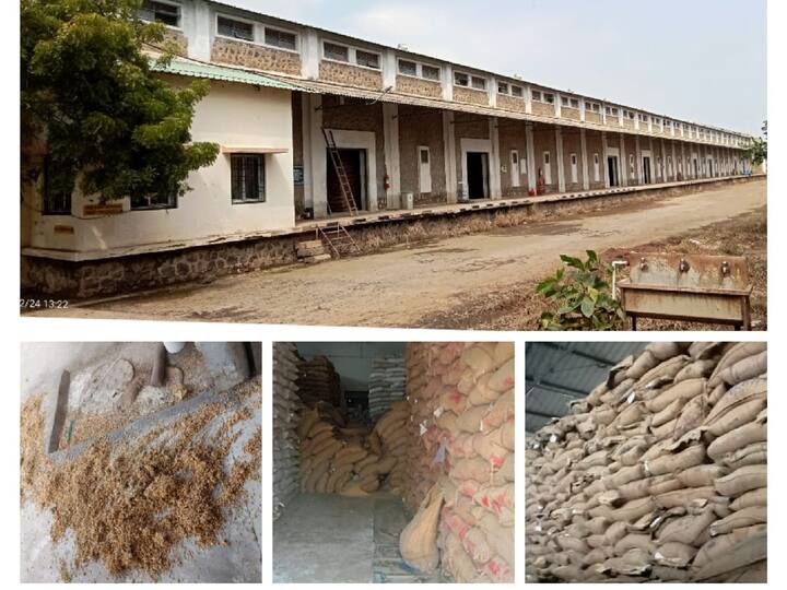 Thoothukudi  Flood Food Corporation of India thousand tons of rice and wheat bag destroyed - TNN தூத்துக்குடி இந்திய உணவு கழகத்தில் புகுந்த வெள்ளம் - 8 ஆயிரம் டன் அரிசி, கோதுமை நாசம்