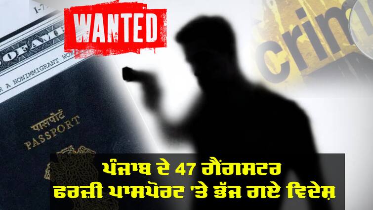 47 gangsters of Punjab fled abroad on fake passports Gangsters of Punjab: ਪੰਜਾਬ ਦੇ 47 ਗੈਂਗਸਟਰ ਫਰਜ਼ੀ ਪਾਸਪੋਰਟ 'ਤੇ ਭੱਜ ਗਏ ਵਿਦੇਸ਼, ਰਿਪੋਰਟ 'ਚ ਵੱਡਾ ਖੁਲਾਸਾ, ਨਾਮ ਵੀ ਆਏ ਸਾਹਮਣੇ 