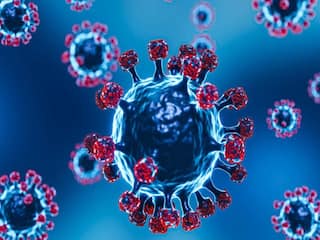 34 people have been infected with JN1 variant of Corona in Karnataka all stable JN1 variant: கர்நாடகாவில் 34 பேருக்கு ஜே.என்.1 வகை கொரோனா வைரஸ் பாதிப்பு கண்டுபிடிப்பு - மக்கள் அச்சம்