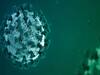 Covid JN.1 Variant: சரசரவென உயரும் கொரோனா தொற்று.. இந்தியாவில் 4054 பேருக்கு சிகிச்சை.. தமிழ்நாட்டில் என்ன நிலை?