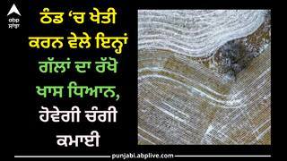 ​Farming in Winter: ਠੰਡ ‘ਚ ਖੇਤੀ ਕਰਨ ਵੇਲੇ ਇਨ੍ਹਾਂ ਗੱਲਾਂ ਦਾ ਰੱਖੋ ਖਾਸ ਧਿਆਨ, ਹੋਵੇਗੀ ਚੰਗੀ ਕਮਾਈ