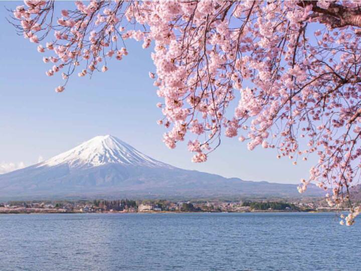 Japan: A popular destination for travellers worldwide, Japan welcomes solo travellers with its friendly culture and rich heritage. Explore ancient traditions juxtaposed with cutting-edge technology, and immerse yourself in the unique blend of past and present that defines this captivating country. (Image Source: Getty Images)