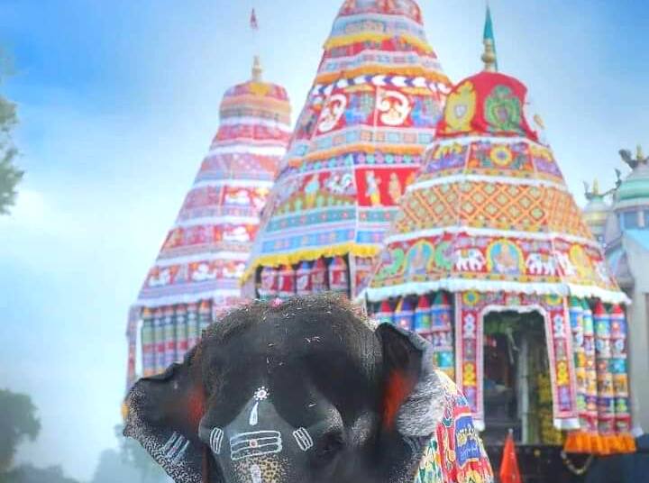 நான்கு வீதிகளிலும் திரண்டுள்ள பக்தர்கள் வீதிகளில் மாக்கோலம் இட்டு சிவ வாத்தியங்கள் இசைத்து சிவதாண்டவங்கள் ஆடி தங்களது பக்தியை வெளிப்படுத்தினர்.