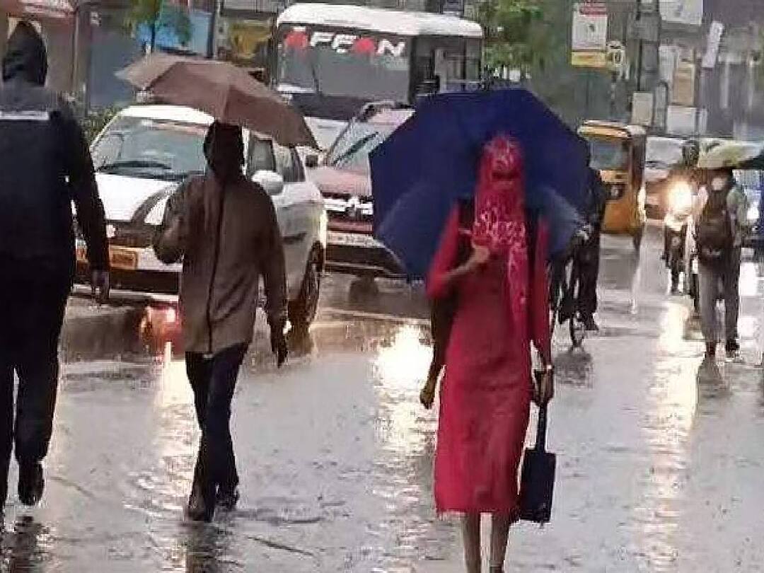 TN Rain Alert: ஜனவரி 1-ஆம் தேதி வரை நீடிக்கும் மழை.. மீனவர்களுக்கான எச்சரிக்கை என்ன? இன்றைய நிலவரம் இதோ..
