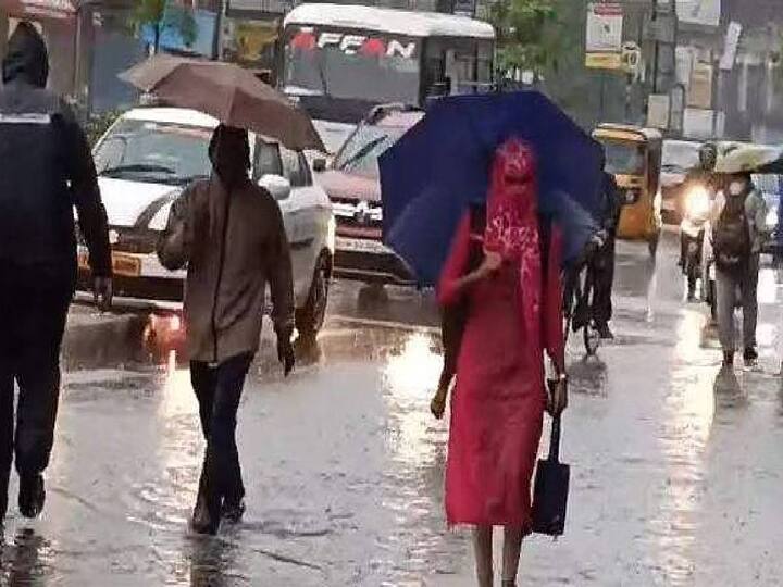 Tamil Nadu is likely to receive moderate rain till January 1, the Meteorological Department has said. TN Rain Alert: ஜனவரி 1-ஆம் தேதி வரை நீடிக்கும் மழை.. மீனவர்களுக்கான எச்சரிக்கை என்ன? இன்றைய நிலவரம் இதோ..