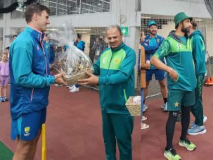 Ex-Australian player blasts Pakistan for becoming Santa Claus for Aussies PAK vs AUS sports news Video: पाकिस्तानी खिलाड़ियों पर भड़के पूर्व कंगारू दिग्गज, ऑस्ट्रेलियाई क्रिकेटर्स को क्रिसमस गिफ्ट देने पर लगाई लताड़