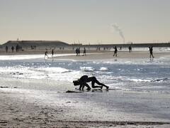 New Year 2024: यहां फर्नीचर फेंक कर मनाते हैं जश्न, दुनिया के इन देशों में नया साल मनाने की है ये अजीबो गरीब परंपरा