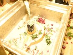 Watch In Pic: गोरखपुर सांसद रवि किशन पहुंचे वाराणसी, काशी विश्वनाथ के किए दर्शन, देखें तस्वीरें