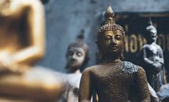 Kongo Gumi: ১০ বছর ধরে প্রশিক্ষণ কর্মীদের, ৫৭৮ সালে প্রতিষ্ঠা, শুধু মন্দির সংস্কার করে ১৪৪৫ বছর টিকে এই সংস্থা