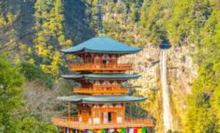 ওই সংস্থায় কর্মীদের ১০ বছর ধরে প্রশিক্ষণ দেওয়ার ব্যবস্থাও রয়েছে। প্রশিক্ষণ চলাকালীন সংস্থার কর্মীদের পরস্পরের বিরুদ্ধেই ভিড়িয়ে দেওয়া হয়। নামানো হয় প্রতিযোগিতায়, যাতে প্রাচীনকালের মতো কাঠ এবং মাটি ব্যবহার করে মন্দির বানিয়ে দেখাতে হয় তাঁদের। এই প্রতিযোগিতায় যাঁর কাজ সবচেয়ে নিঁখুত হয়, তাঁকে পুরস্কৃত করা হয়। ফাইল চিত্র।