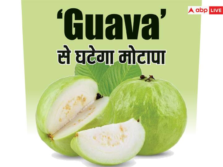 fitness diet tips guava benefits to lose weight in hindi तेजी से कम करना चाहते हैं वजन तो आज से ही खाना शुरू कर दें ये देसी फल, डायबिटीज का है ये सबसे बड़ा दुश्मन