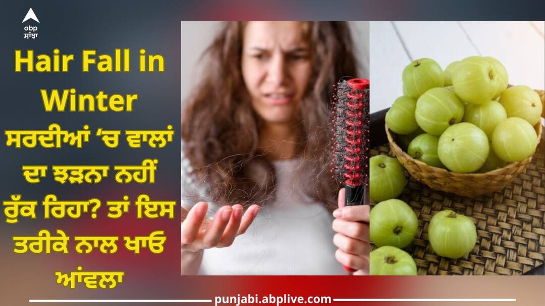 Hair Fall in Winter: ਸਰਦੀਆਂ ‘ਚ ਵਾਲਾਂ ਦਾ ਝੜਨਾ ਨਹੀਂ ਰੁੱਕ ਰਿਹਾ? ਤਾਂ ਇਸ ਤਰੀਕੇ ਨਾਲ ਖਾਓ ਆਂਵਲਾ, ਕੁੱਝ ਹੀ ਹਫਤਿਆਂ ‘ਚ ਦਿਖੇਗਾ ਅਸਰ Hair loss is not stopping in winter? To eat amla in this way, the effect will be seen in a few weeks Hair Fall in Winter: ਸਰਦੀਆਂ ‘ਚ ਵਾਲਾਂ ਦਾ ਝੜਨਾ ਨਹੀਂ ਰੁੱਕ ਰਿਹਾ? ਤਾਂ ਇਸ ਤਰੀਕੇ ਨਾਲ ਖਾਓ ਆਂਵਲਾ, ਕੁੱਝ ਹੀ ਹਫਤਿਆਂ ‘ਚ ਦਿਖੇਗਾ ਅਸਰ