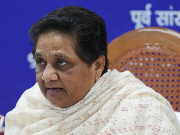 Congress leader Imran Pratapgarhi says Mayawati join INDIA Alliance after C Voter Survey UP Politics: 'सर्वे देखने के बाद गठबंधन पर सोचेंगी मायावती'- कांग्रेस नेता इमरान प्रतापगढ़ी का दावा