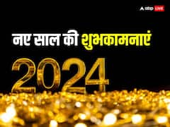 दुखों को दरकिनार...नए साल पर ये मोटिवेशनल कोट्स अपनों को भेजकर कहें हैप्पी न्यू ईयर