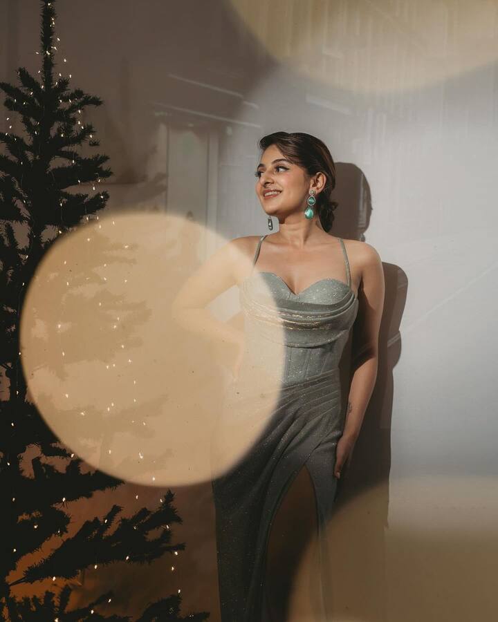 మలయాళంలో పలు సినిమాల్లో నటించింది