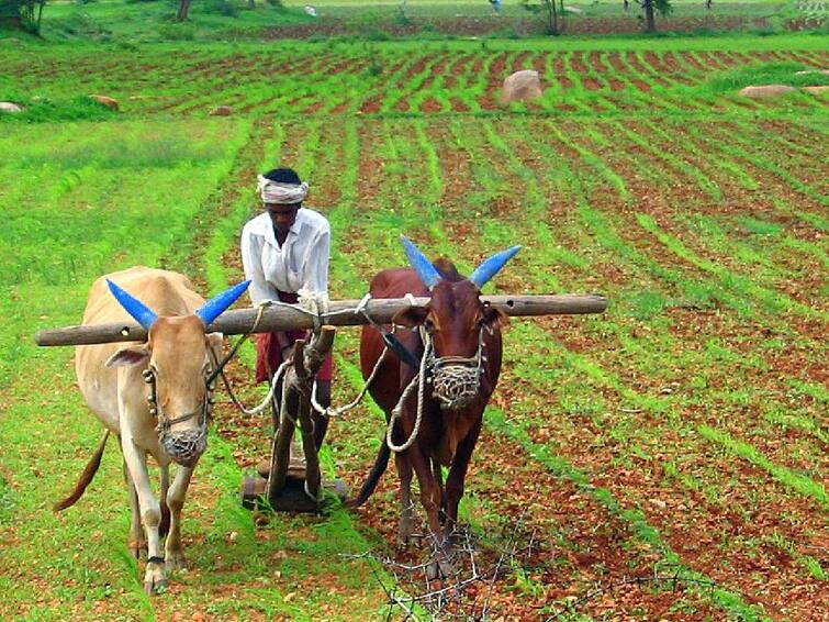 pune farmer Opportunity to go abroad for farm study marathi news update पुण्यातल्या शेतकऱ्यांना सुवर्णसंधी, परदेशात अभ्यास दौऱ्यासाठी जाण्याची संधी, 50 टक्के खर्च सरकार करणार