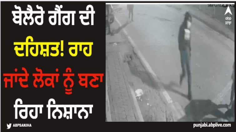 jalandhar news bolero gang criminal activities in jalandhar giving nightmare to people Jalandhar News: ਬੋਲੈਰੋ ਗੈਂਗ ਦੀ ਦਹਿਸ਼ਤ! ਰਾਹ ਜਾਂਦੇ ਲੋਕਾਂ ਨੂੰ ਬਣਾ ਰਿਹਾ ਨਿਸ਼ਾਨਾ