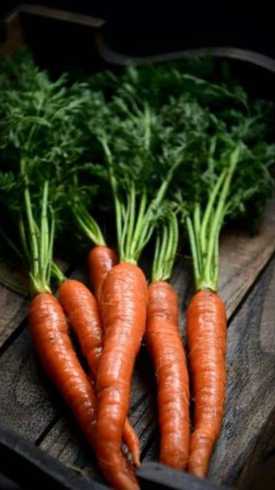 गाजर कब नहीं खानी चाहिए?