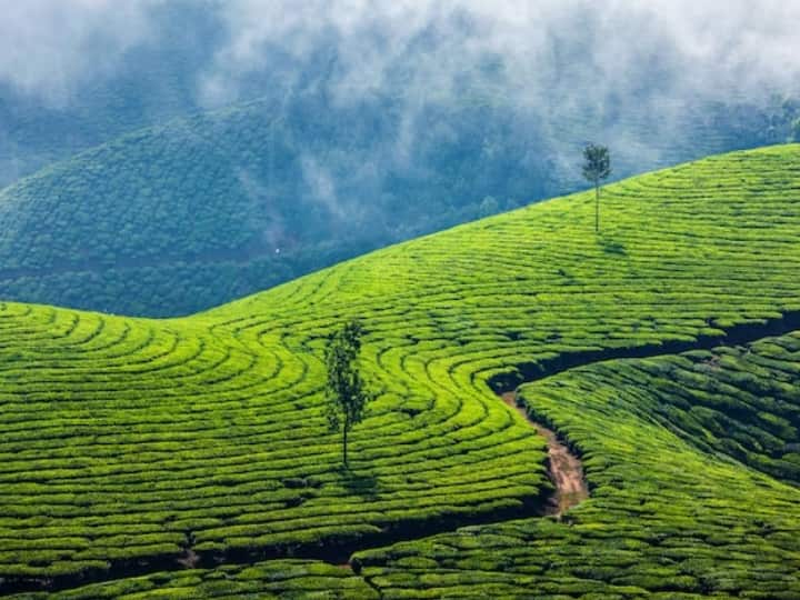यह पूरा पैकेज 4 दिन और 3 रात का है. इसमें आपको ऊटी के अलावा कुनूर (Coonoor) की सैर का भी मौका मिल रहा है. इस पैकेज में आपको 3 ब्रेकफास्ट और 3 डिनर की फैसिलिटी मिल रही है.