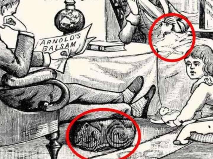 अगर आपने इसकी सही जवाब निकाल लिया है जो आप सही मायने में जीनियस हैं.