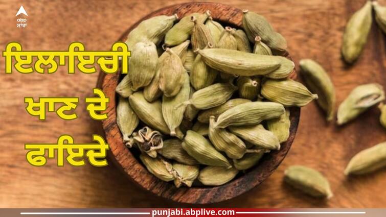 can you eat cardamom after eating food know about its benefits health news Cardamom: ਖਾਣਾ ਖਾਣ ਤੋਂ ਬਾਅਦ ਇਲਾਇਚੀ ਦਾ ਸੇਵਨ ਸਹੀ ਜਾਂ ਗਲਤ? ਜਾਣੋ ਇਸਦੇ ਸਰੀਰ 'ਤੇ ਕੀ ਪੈਂਦੇ ਅਸਰ