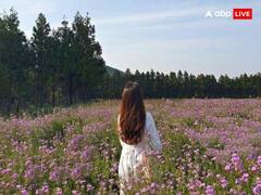 Ank Jyotish: पार्टनर से बहुत प्यार करती हैं जिन डेट्स पर जन्मी महिलाएं, जानें कौन सा है वो मूलांक