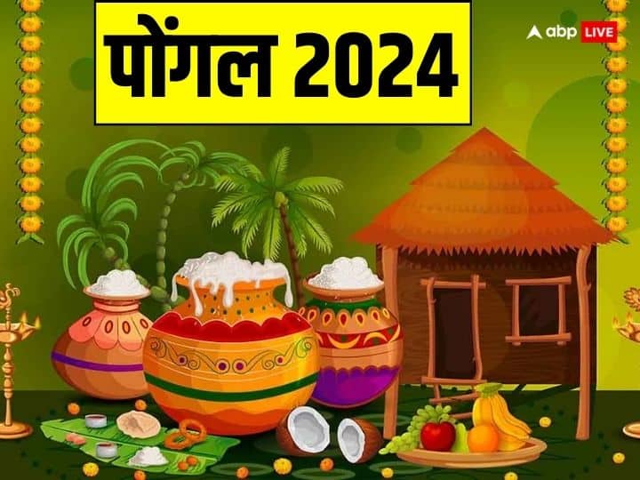 Pongal 2024 Date Surya puja Significance four day pongal celebration South indian festival Pongal 2024: पोंगल कब है, यहां नोट करें सही डेट और इस पर्व से जुड़ी विशेष जानकारी