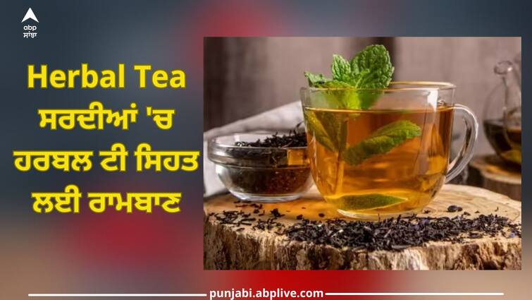 Know Herbal tea benefits in winter, give energy and many more benefits Herbal tea In Winter: ਸਰਦੀਆਂ 'ਚ ਹਰਬਲ ਟੀ ਸਿਹਤ ਲਈ ਰਾਮਬਾਣ, ਊਰਜਾ ਦੇ ਨਾਲ ਮਿਲਦੇ ਨੇ ਗਜ਼ਬ ਦੇ ਫਾਇਦੇ