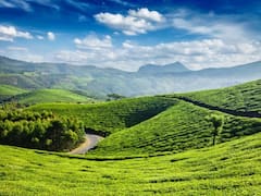 IRCTC Tour: ऊटी की हसीन वादियों की करना है सैर तो इस पैकेज में करें बुकिंग, IRCTC लेकर आया है सस्ता टूर पैकेज