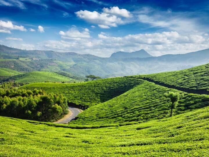 IRCTC Ooty Tour: घूमने के शौकीन लोगों के लिए आईआरसीटीसी एक शानदार टूर पैकेज लेकर आया है. इस पैकेज के जरिए आपको ऊटी की वादियों की सैर का मौका मिल रहा है.