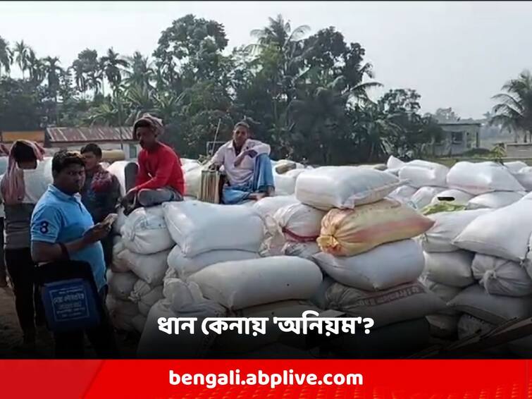 North 24 Pargana Conditions to eliminate the price of five kilograms of rice per quintal! Complaints of irregularities in the purchase of paddy North 24 Pargana: কুইন্টাল প্রতি পাঁচ কেজি ধানের দাম বাদ দেওয়ার শর্ত! ধান কেনায় ফের অনিয়মের অভিযোগ